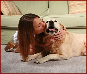 Carpet cleaning