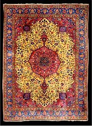 Area Rugs Steam Cleaned